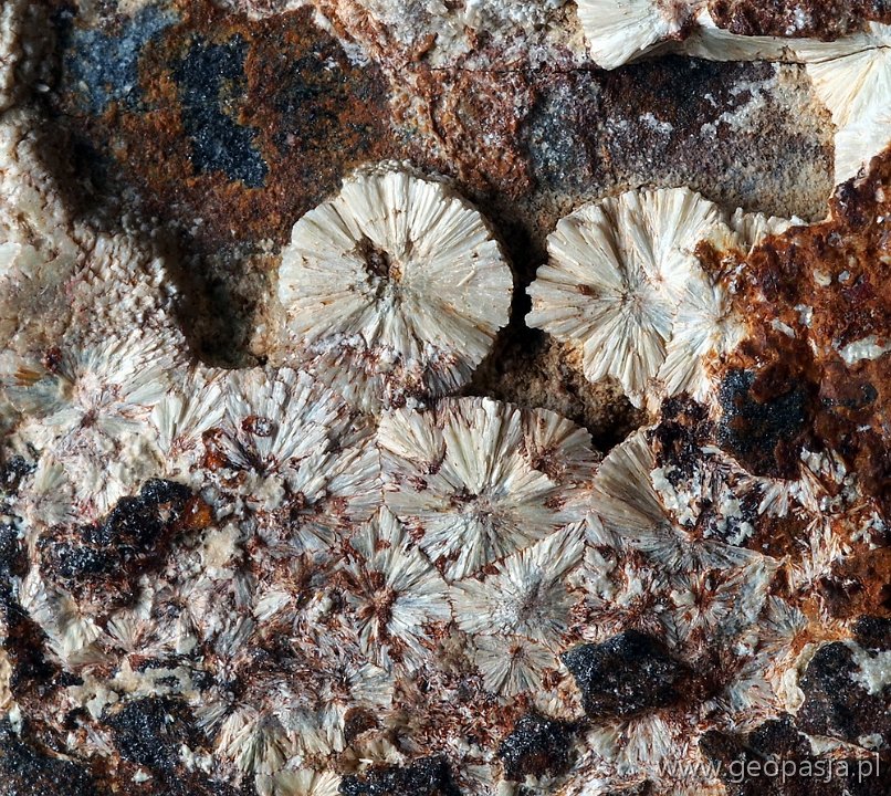Wavellit - Brodziszów, Wzgórza Bielawskie (1.3 cm)